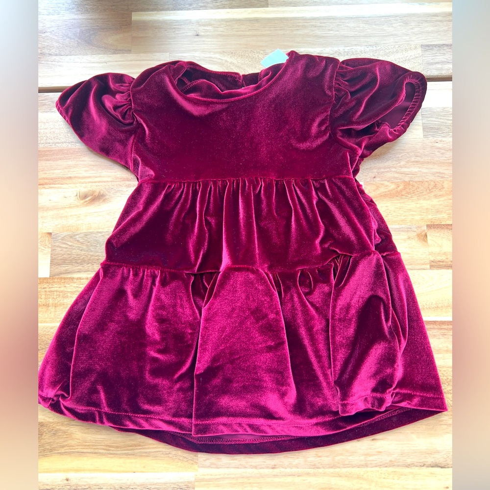 ZARA Velvet Holiday Dress